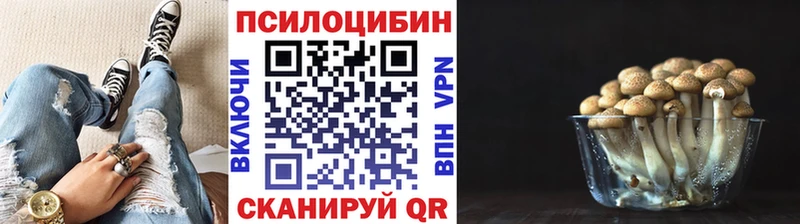Псилоцибиновые грибы Cubensis нарко площадка телеграм Осинники цены