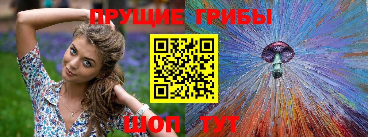 Осинники  Псилоцибиновые грибы Cubensis  Вход с VPN 