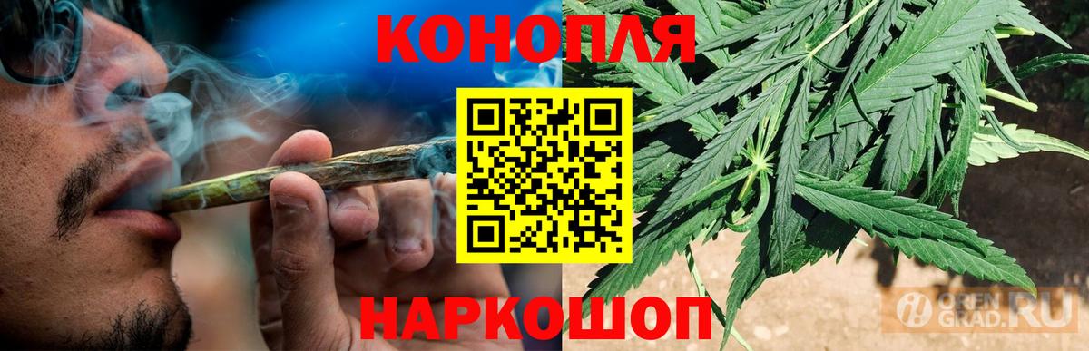 Осинники  Шишки марихуана сатива  Бошки Шишки план  Вход с VPN 